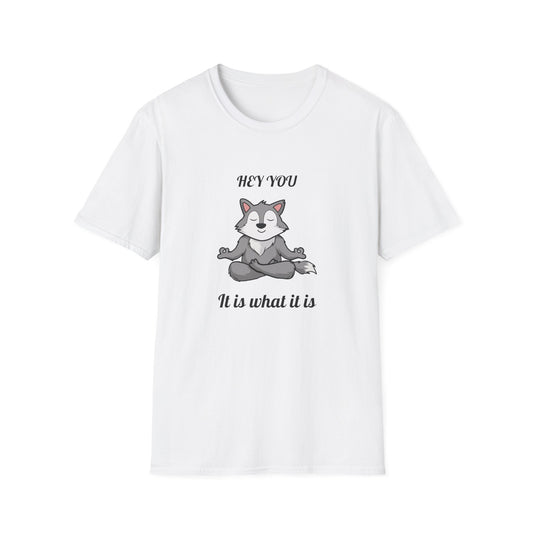 Hey You, It Is What It Is T-Shirt