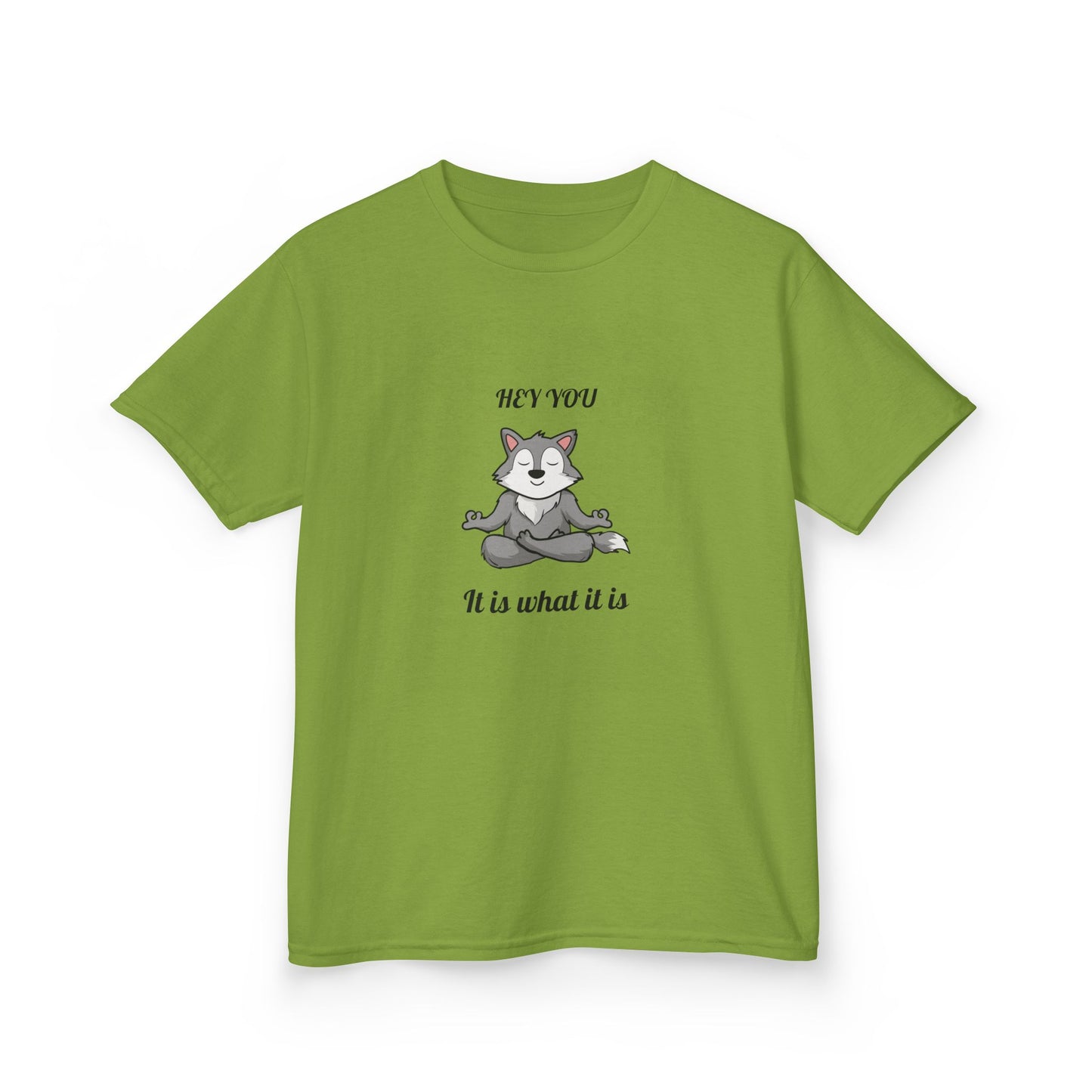 Hey You It Is What It Is T-shirt