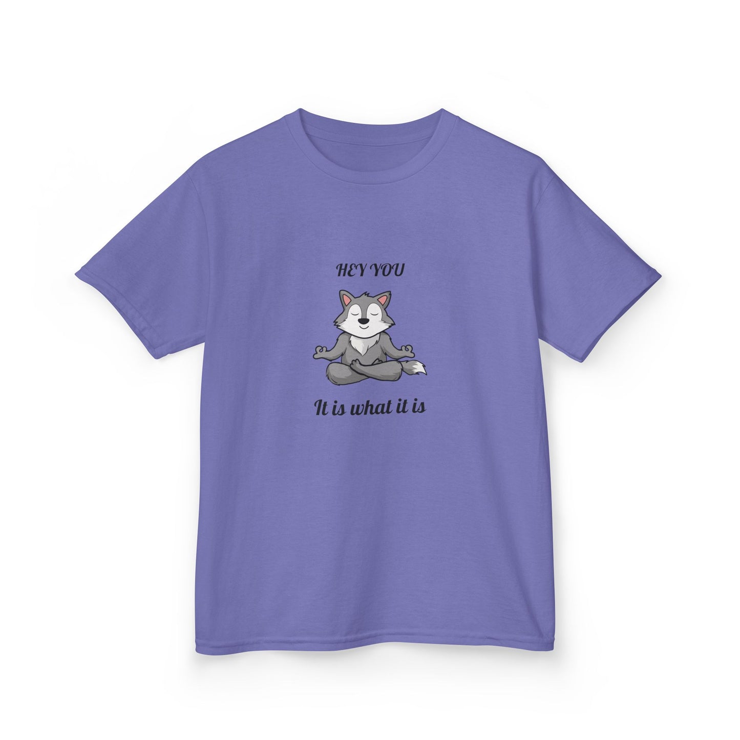 Hey You It Is What It Is T-shirt