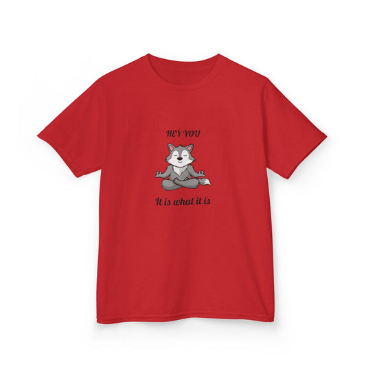 Hey You It Is What It Is T-shirt